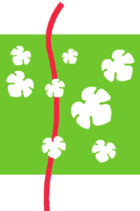 Verbandsgemeinde Freinsheim