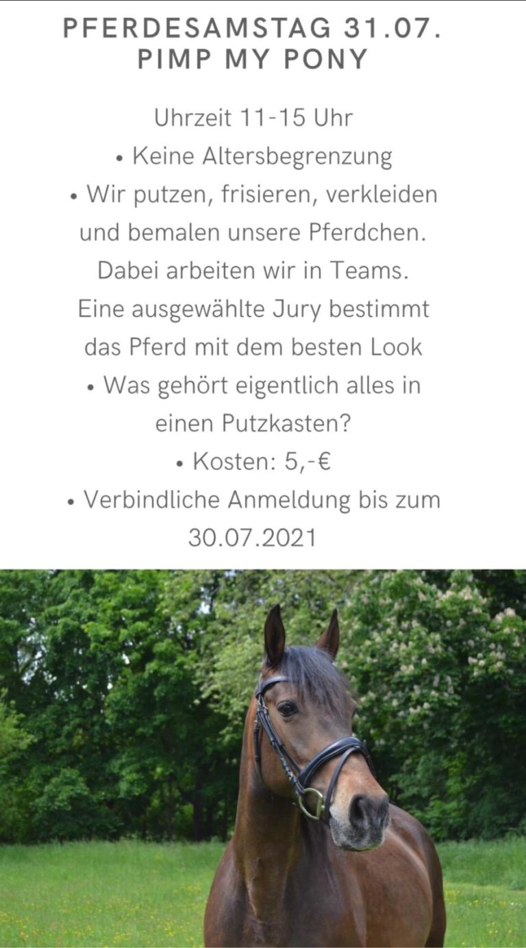 Pferdesamstag 31.07.2021 - Pimp my Pony