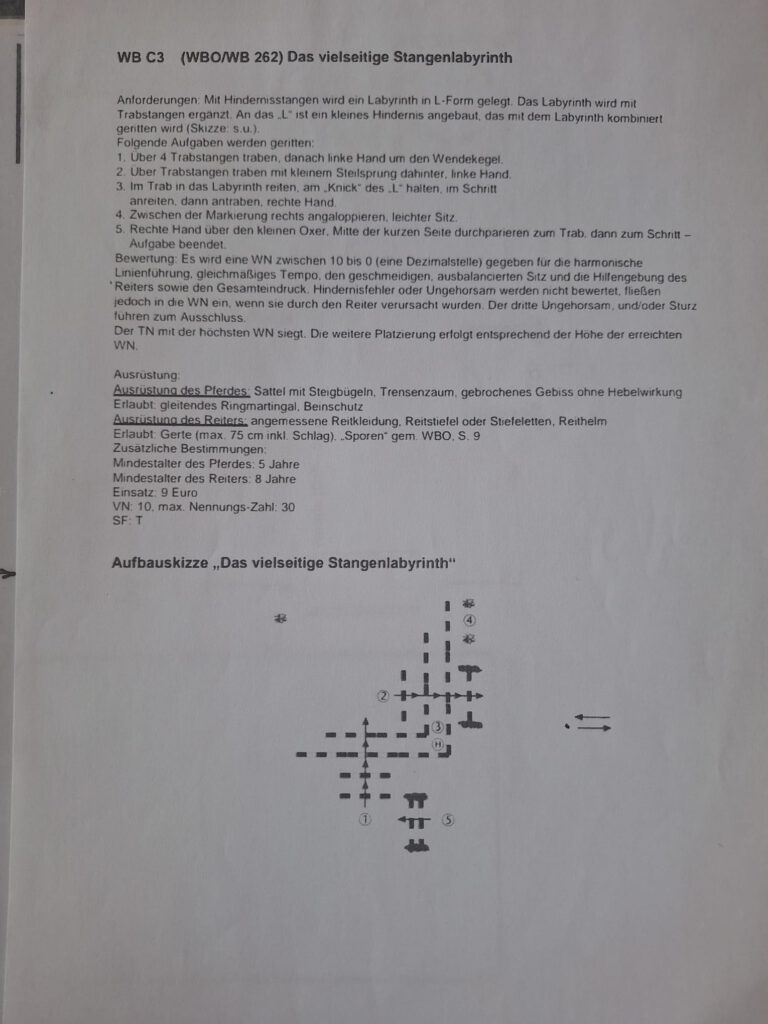 das viels. Stangenlabyrinth