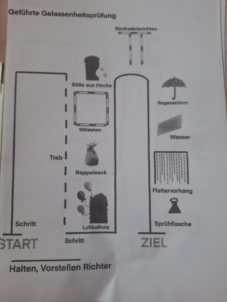 gefuehrte Gelassenheitspruefung